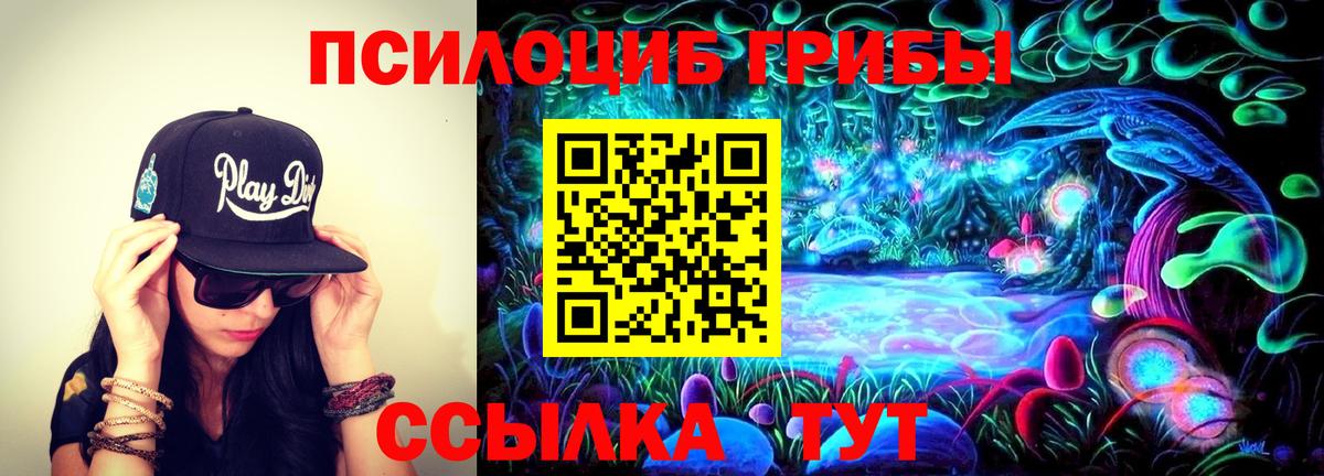 Галлюциногенные грибы GOLDEN TEACHER Железногорск